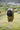 5e4f2023-68b3-4bd4-b4f1-81ad623312e8-Max