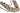 Wild Lotus Prismatic Beaded Belt